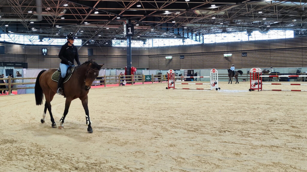 découvrez equita lyon, la grande fête du cheval à lyon : compétitions équestres, spectacles, animations et salon dédié aux passionnés et professionnels du monde équin. un événement incontournable pour toute la famille !