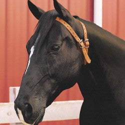 découvrez comment choisir le charms anti-tique idéal pour protéger votre cheval efficacement contre les tiques et assurer son bien-être au quotidien.