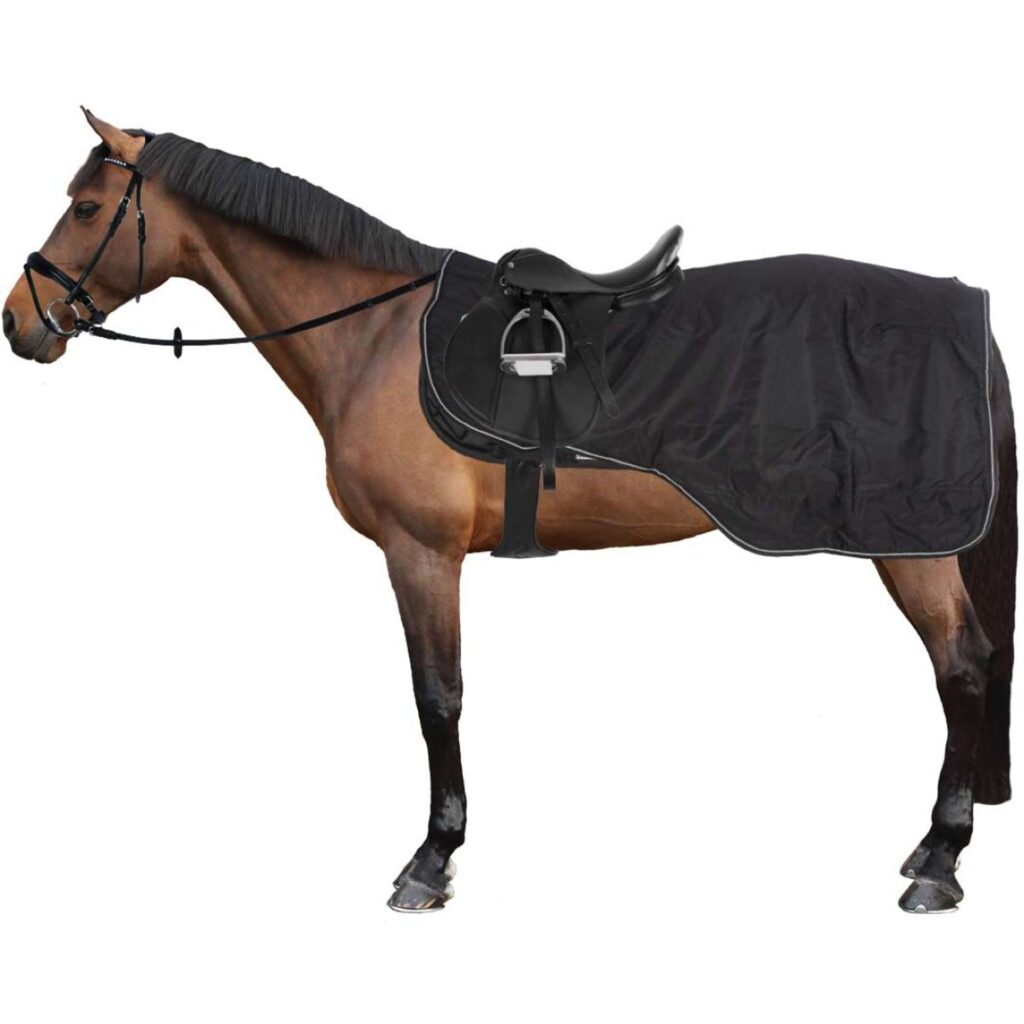 découvrez notre couvre-rein cheval en polaire imperméable, parfait pour protéger votre cheval du froid et de l'humidité tout en assurant confort et liberté de mouvement.