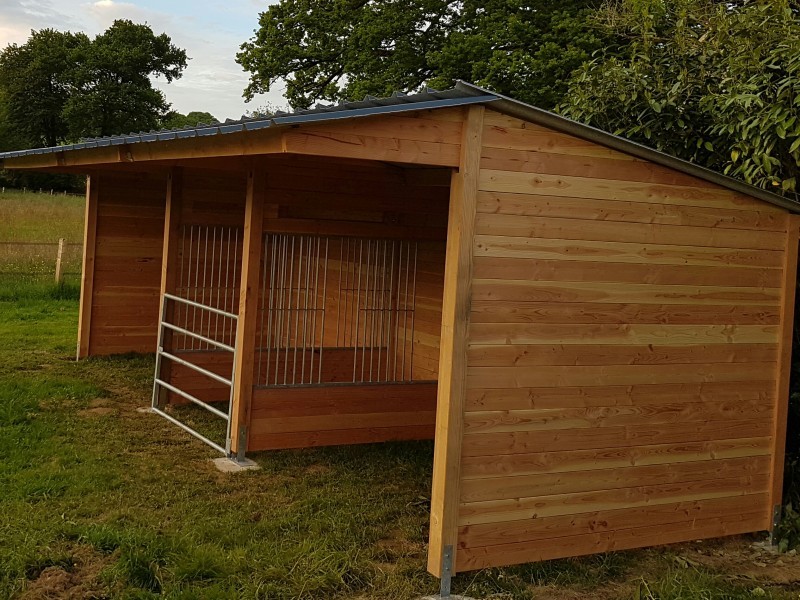 découvrez nos conseils pour choisir et aménager un abri chevaux avec ratelier, assurant confort et organisation optimale pour vos équidés.