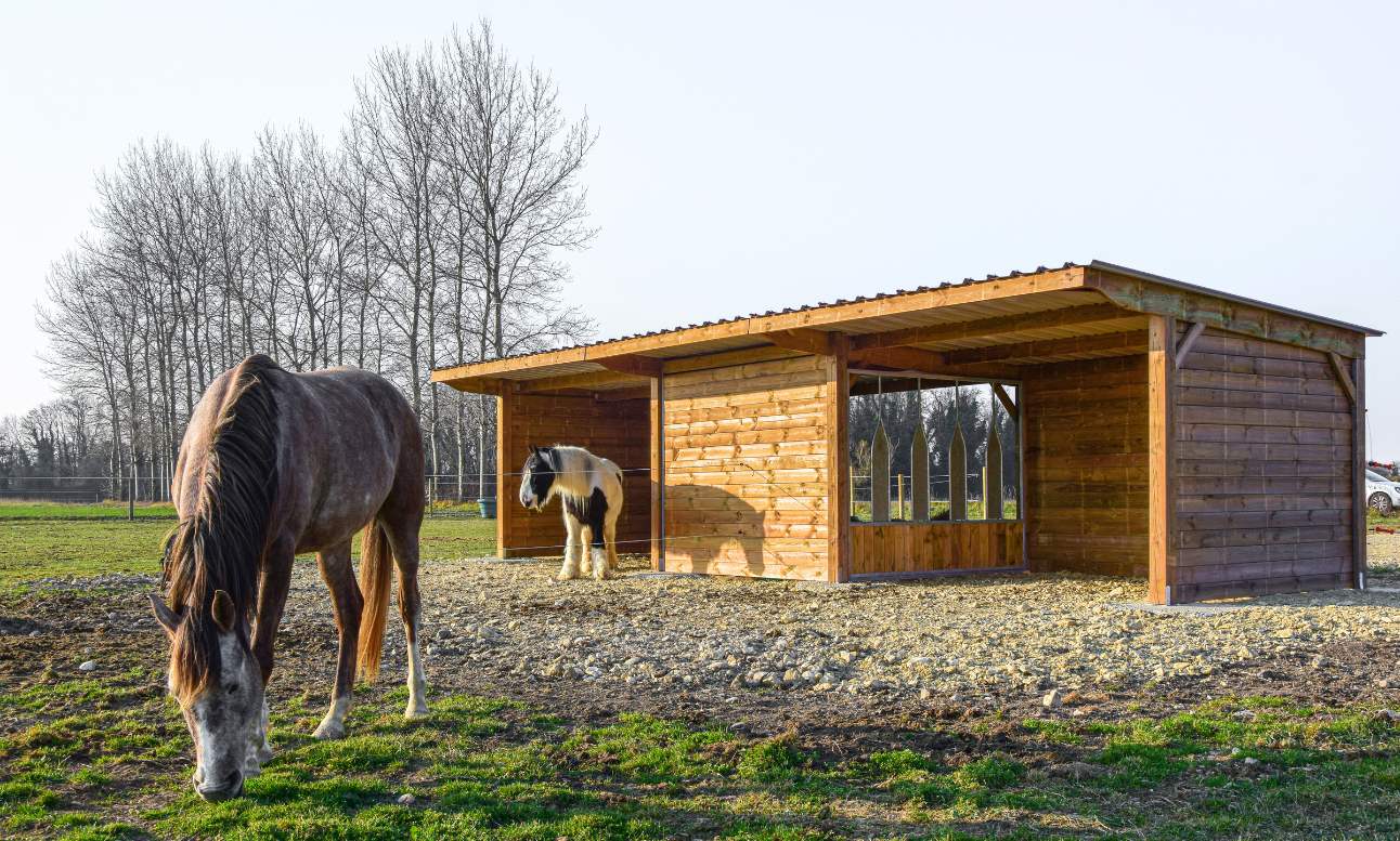 découvrez nos conseils pour choisir et aménager un abri chevaux ratelier adapté, alliant praticité et confort pour vos chevaux.