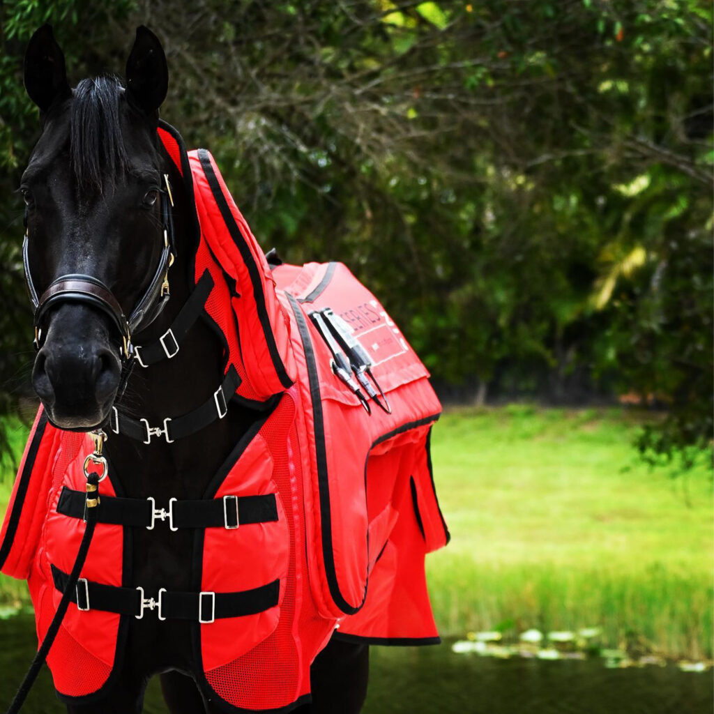 découvrez les bénéfices de la couverture massante pour chevaux : amélioration de la circulation sanguine, réduction des tensions musculaires et bien-être optimal pour votre animal.