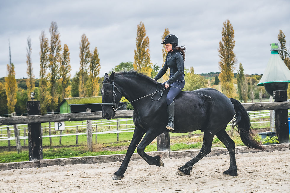 calculez facilement le prix de la pension pour votre cheval grâce à nos outils et conseils pratiques adaptés à vos besoins.