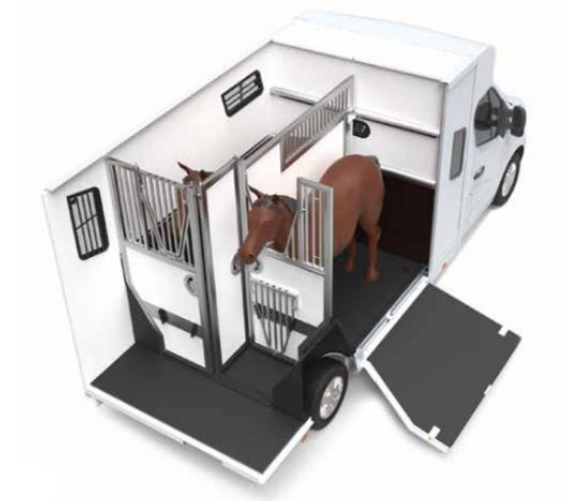 découvrez comment choisir le cheval idéal à louer grâce à nos conseils pratiques pour une expérience d'équitation réussie et en toute sécurité.