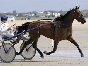 découvrez comment choisir le meilleur cheval de course grâce à nos conseils experts pour maximiser vos chances de succès.