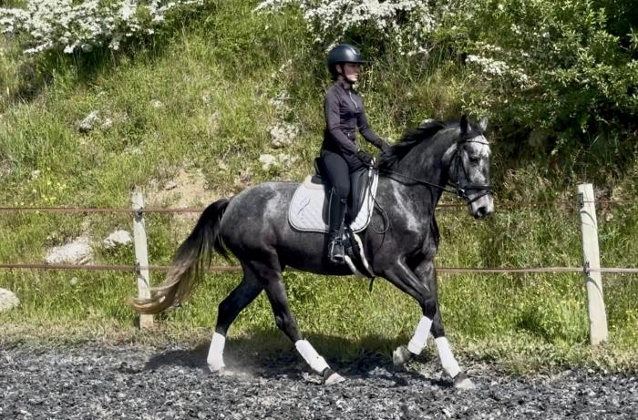 découvrez nos conseils pour choisir le cheval de course à vendre idéal, alliant performance et potentiel pour vos compétitions équestres.