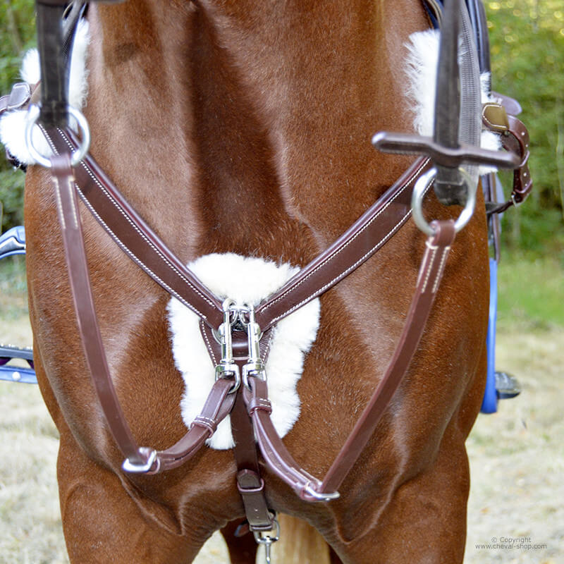 découvrez l'utilité des colliers de chasse pour chevaux et comment choisir le modèle idéal pour allier confort et performance lors de vos sorties.