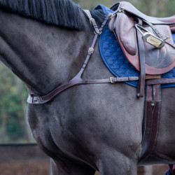 découvrez toutes les utilités du collier de chasse pour chevaux et comment bien choisir le modèle adapté à vos besoins et à votre cheval.