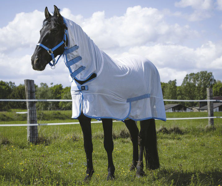 découvrez notre sélection de couvertures pour chevaux de trait, conçues pour assurer confort et protection optimale à votre cheval en toutes saisons.