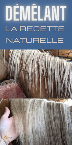 découvrez notre démêlant maison naturel pour chevaux, formulé avec des ingrédients 100% naturels pour prendre soin de la crinière et de la queue de votre cheval tout en douceur.