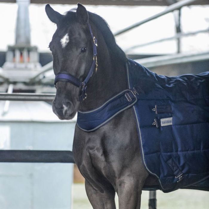 profitez de notre destockage exceptionnel sur les couvertures pour chevaux. qualité au meilleur prix, confort assuré pour votre compagnon.