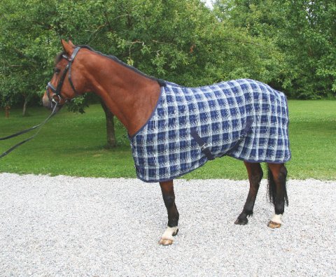 profitez de notre destockage exclusif sur les couvertures pour chevaux. qualité, confort et protection à prix imbattables. ne manquez pas nos offres limitées !