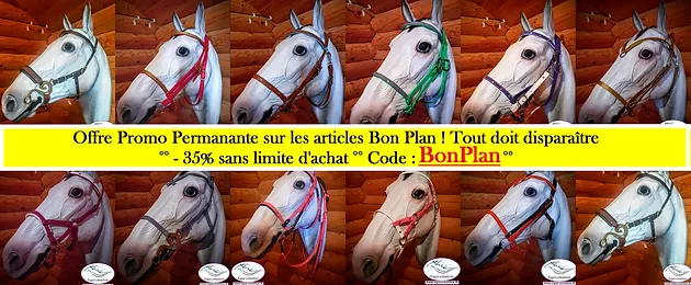 découvrez notre sélection de matériel d'endurance pour cheval, conçu pour optimiser la performance et le confort de votre compagnon lors des compétitions et entraînements.