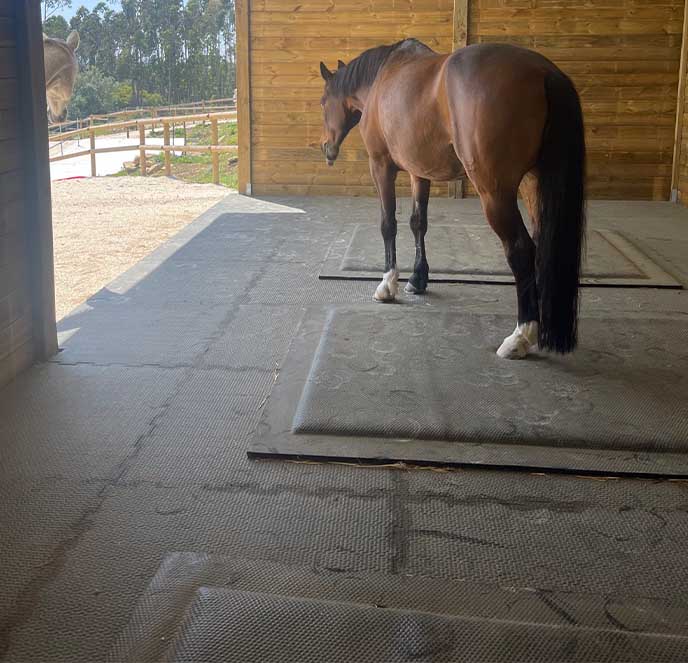 découvrez notre tapis en caoutchouc vans spécialement conçu pour chevaux, offrant durabilité, confort et protection optimale dans vos écuries.