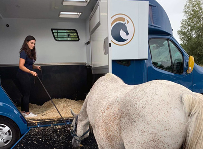 découvrez comment choisir le prestataire idéal pour le transport de vos chevaux en tenant compte des tarifs, de la sécurité et du confort de vos animaux.