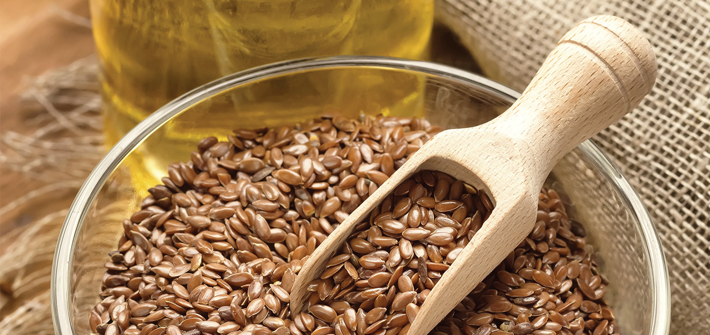 découvrez les bienfaits et les différentes utilisations du son de blé pour améliorer la santé et la nutrition de votre cheval.