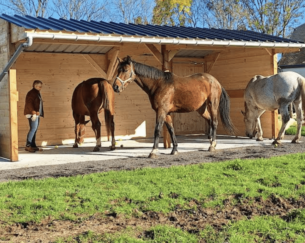 découvrez comment choisir un abri pour chevaux en kit adapté à vos besoins, alliant facilité d'installation, robustesse et protection optimale pour vos animaux.