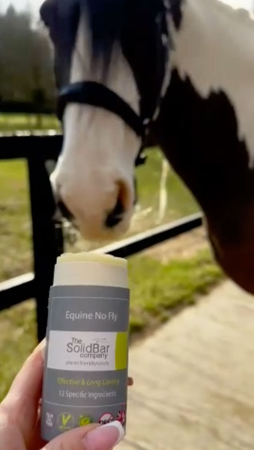 découvrez comment choisir l'anti-insecte idéal pour protéger efficacement vos chevaux des nuisibles et assurer leur bien-être au quotidien.