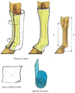 découvrez nos conseils pratiques pour transporter vos chevaux sur de longues distances en toute sécurité et confort.