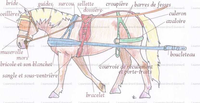 découvrez notre harnais spécialement conçu pour les chevaux de trait, alliant confort, robustesse et durabilité pour vos travaux agricoles et balades.