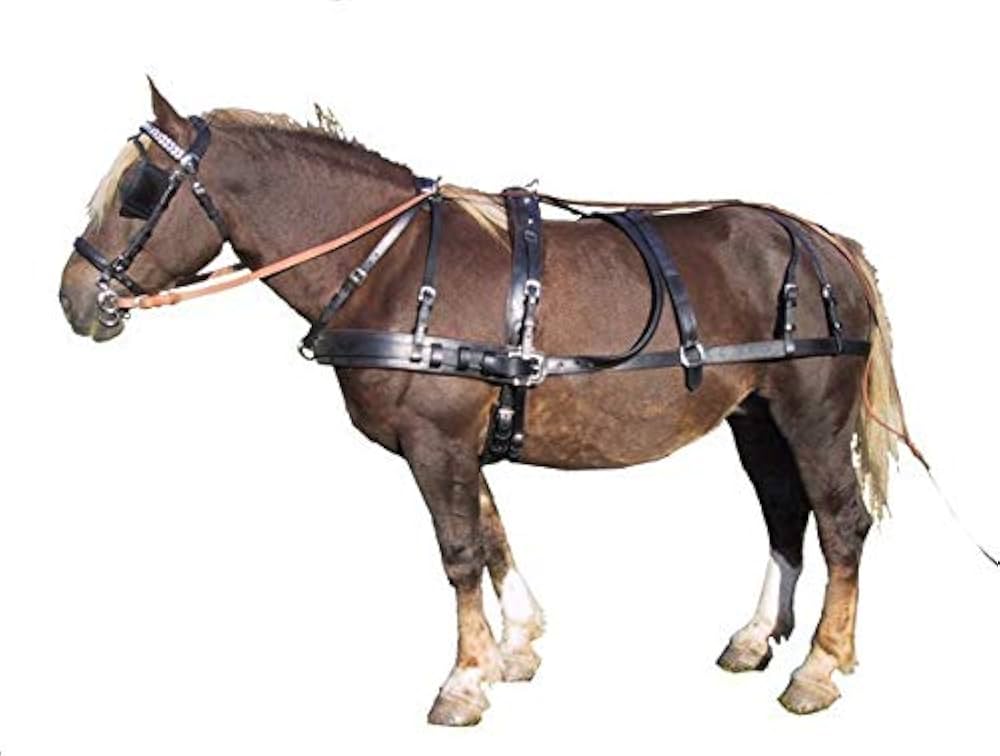 découvrez notre sélection de harnais pour cheval de trait, conçus pour allier confort et performance lors de vos travaux agricoles ou de loisir.