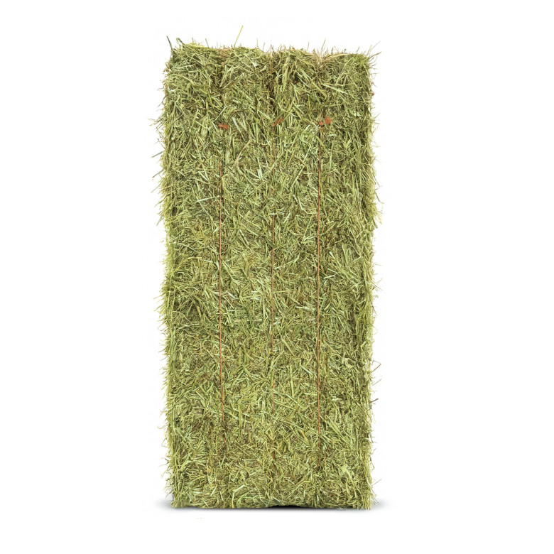 découvrez les avantages du foin dépoussiéré pour votre cheval : meilleure qualité de l'air, réduction des risques respiratoires et confort optimal pour votre compagnon.