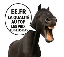 découvrez nos tarifs transparents pour un transport sécurisé de votre cheval, assurant confort et sécurité tout au long du trajet.