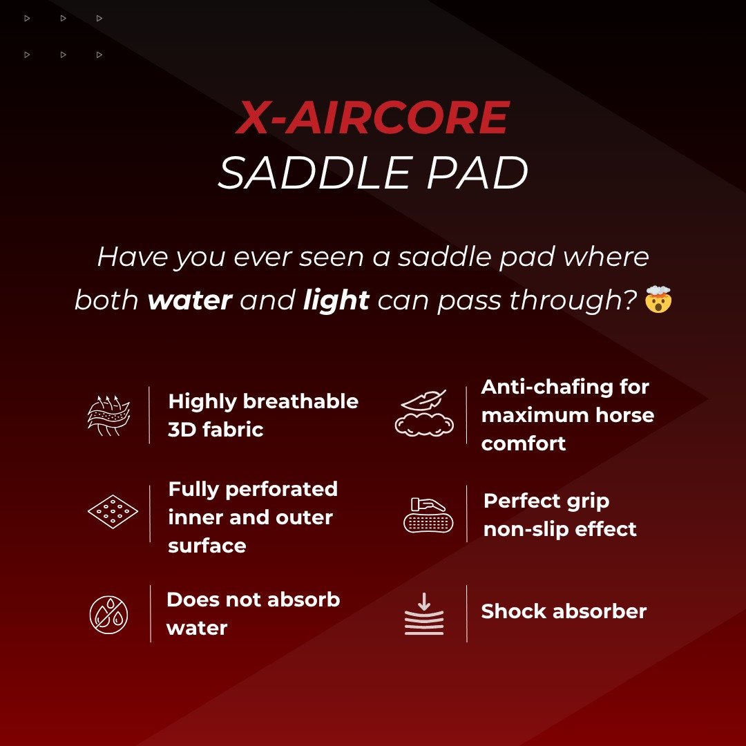 découvrez notre guide complet pour choisir et utiliser un tapis d'endurance pour cheval, alliant confort et performance lors de vos entraînements et compétitions.