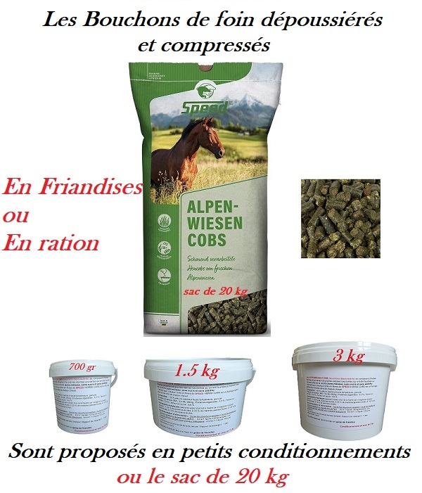découvrez tout sur le bouchon de foin chez le cheval : causes, symptômes et traitements pour assurer la santé et le bien-être de votre équidé.