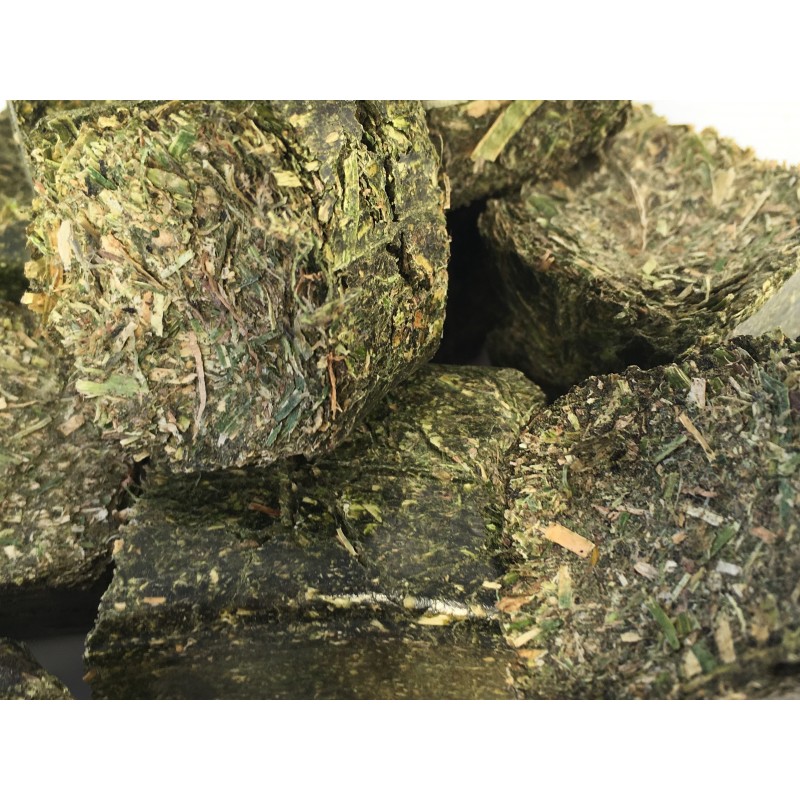 découvrez tout sur le bouchon de foin chez le cheval : causes, symptômes et conseils pour prévenir ce problème digestif fréquent chez nos équidés.