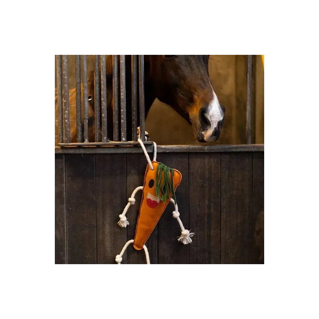 découvrez nos carottes fraîches et croquantes, parfaitement adaptées à l'alimentation saine de vos chevaux. un snack naturel et délicieux pour leur bien-être.