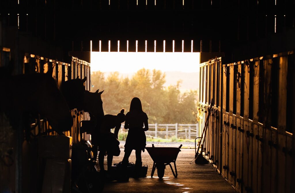 stable boots cheval : pourquoi utiliser des bottes stables pour votre cheval