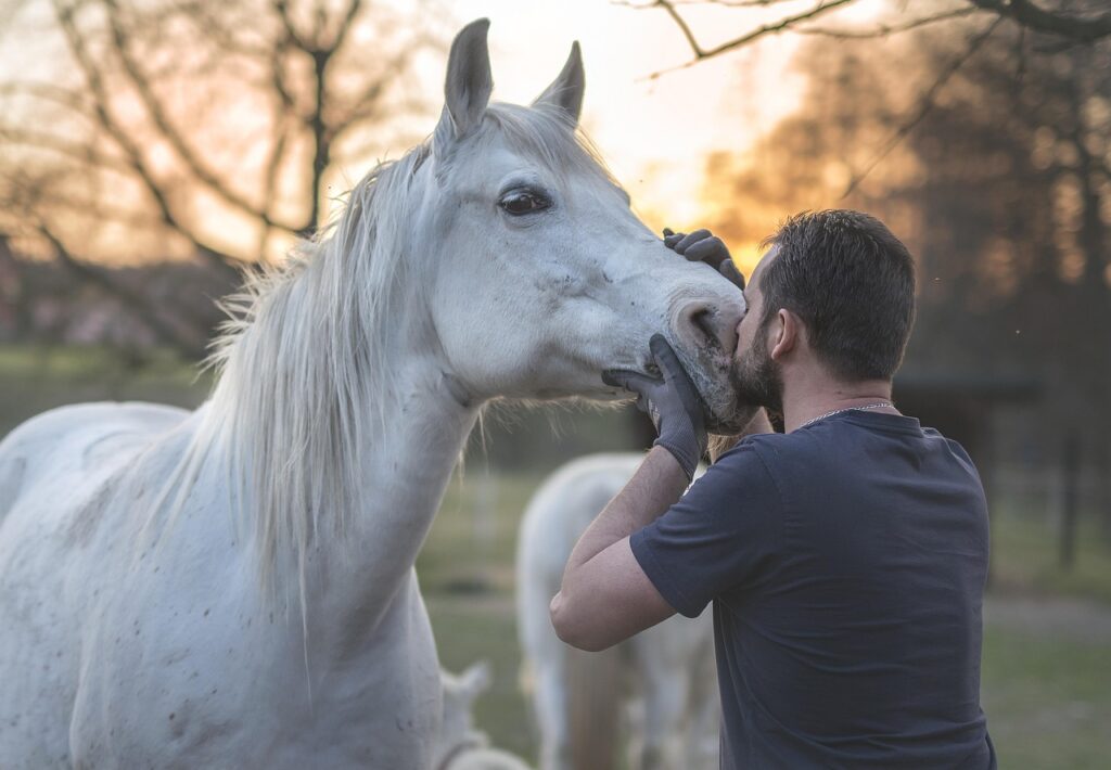 L’hippodrome de Montier-en-Der s’illumine à l’occasion d’une journée festive mémorable