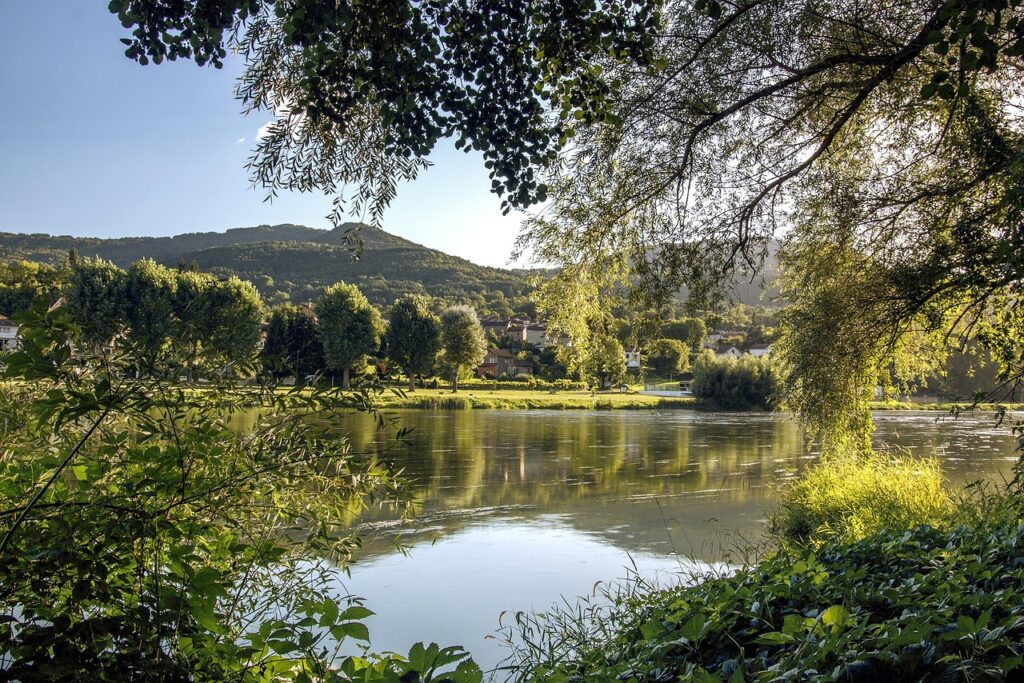 Haute-Loire : Découvrez l’ambiance unique des paris, tombola et commissaires ce dimanche à l’hippodrome de Jul